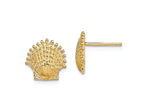14k Yellow Gold 10.4mm Textured Beaded Scallop Shell Stud Earrings