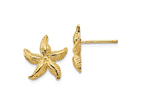10k Yellow Gold Textured Starfish Stud Earrings