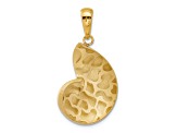 14K Yellow Gold Satin Diamond-cut Nautilus Shell Pendant