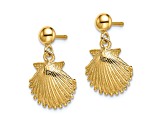 14k Yellow Gold Textured Scallop Shell Dangle Earrings
