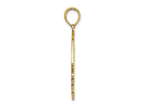 14k Yellow Gold Polished CURACAO Under Angelfish Charm