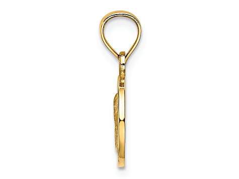 14k Yellow Gold Satin Angel Coin Charm