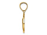 14k Yellow Gold Satin Angel Coin Charm