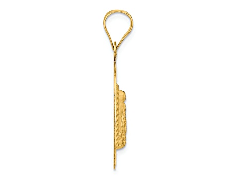 14k Yellow Gold Polished Diamond-Cut and Satin Lady Of Guadalupe Circle Pendant