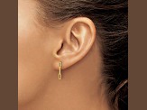 14k Yellow Gold Polished Open Link Dangle Earrings