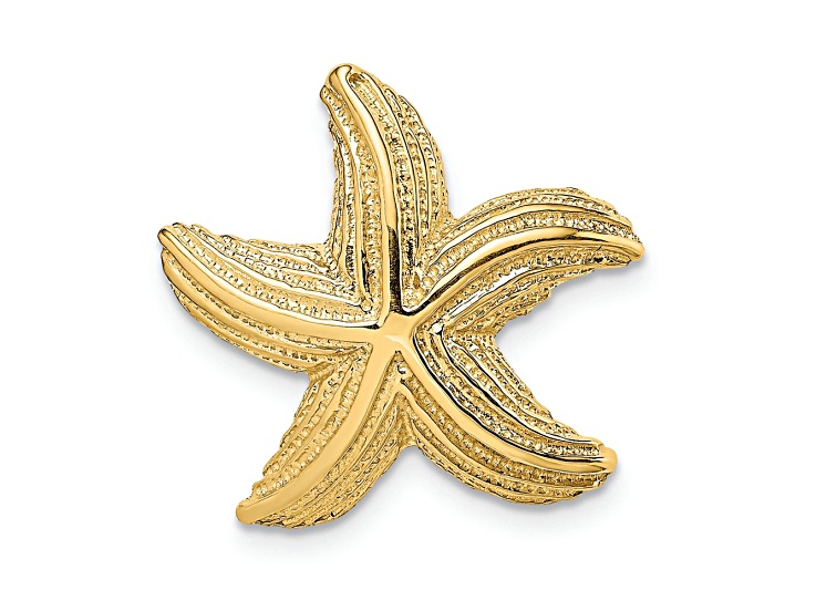 14k Yellow Gold Polished and Textured Starfish Slide Charm