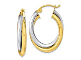 10k Yellow Gold and 10k White Gold 15/16" Polished Double Oval Hoop Earrings