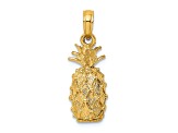 14k Yellow Gold 3D and Textured Pineapple Charm