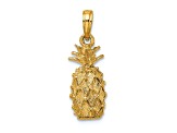 14k Yellow Gold 3D and Textured Pineapple Charm