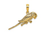 14k Yellow Gold 3D Textured Parrot Charm