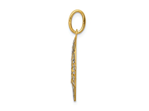 14k Yellow Gold and 14k White Gold Brushed and Textured Our Lady Of Guadalupe Pendant