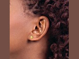 14k Yellow Gold Children's 6.3mm Sunflower Stud Earrings