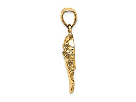 14k Yellow Gold 2D Polished and Textured Manatee Charm