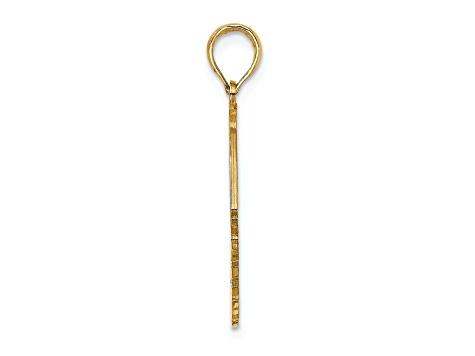 14k Yellow Gold Polished ST. THOMAS Angelfish Charm