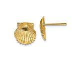 14k Yellow Gold Textured 9mm Scallop Shell Stud Earrings