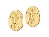 14k Yellow Gold Polished and Textured Sand Dollar Stud Earrings