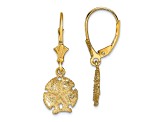 14k Yellow Gold Textured Sand Dollar with Star Earrings