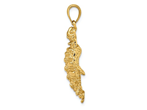 14k Yellow Gold Textured Sea Turtle with Spiny Shell Charm