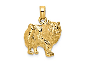 14k Yellow Gold Polished and Textured Pomeranian Dog Charm