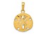 14k Yellow Gold Polished and Textured Sand Dollar Pendant