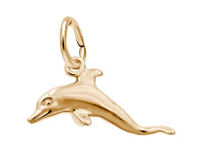 14K Yellow Gold Dolphin Charm