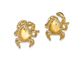 14k Yellow Gold 2D Textured and Polished Crab Stud Earrings