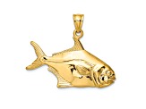 14k Yellow Gold 3D Polished and Textured Pompano Fish Charm