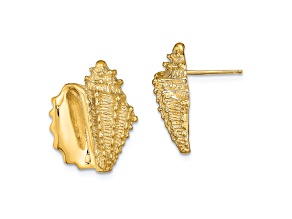 14k Yellow Gold 2D Textured Conch Shell Stud Earrings