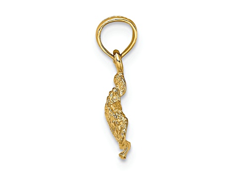 14K Yellow Gold Textured Sea Turtle Charm