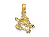 14K Yellow Gold Textured Sea Turtle Charm