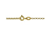 14K Yellow Gold 0.65mm Rolo Link Bracelet