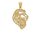 14k Yellow Gold Diamond-Cut Lion Profile Pendant