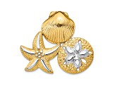 14K Two-tone Gold Textured Scallop, Starfish and Sand Dollar Slide