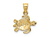 14k Yellow Gold Diamond-Cut and Textured Turtle Pendant