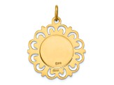 14k Yellow Gold Satin Our Lady of Mt. Carmel Medal Charm