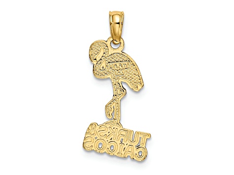 14k Yellow Gold Textured TURKS AND CAICOS Flamingo Charm