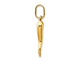 14k Yellow Gold 3D Italian Horn Pendant