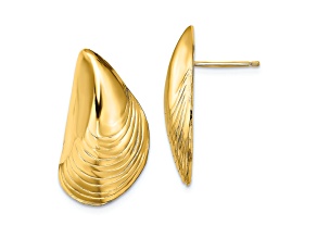 14K Yellow Gold Polished Mussel Shell Stud Earrings