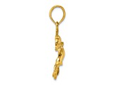 14k Yellow Gold Polished and Textured Double Dolphins Pendant