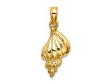 14K Yellow Gold 3D Mini Conch Shell Charm