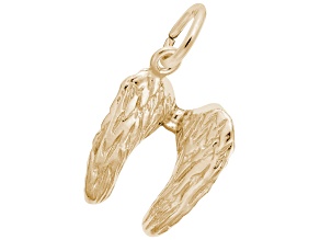 14K Yellow Gold Angel Wings Charm