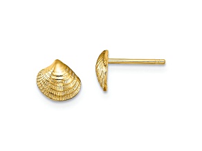 14k Yellow Gold Textured Mini Clam Shell Stud Earrings