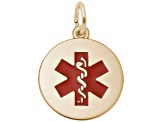 14K Yellow Gold Medical Symbol Charm
