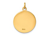 14K Yellow Gold Saint Francis of Assisi Medal Charm