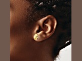 14K Yellow Gold Shell Post Earrings