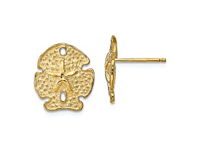 14K Yellow Gold Textured Sand Dollar Stud Earrings