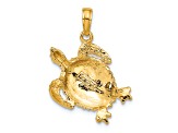 14k Yellow Gold Solid Polished and Textured Open-Backed Turtle Pendant