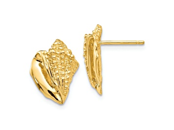 Picture of 14k Yellow Gold Textured Conch Shell Stud Earrings