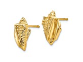 14k Yellow Gold Textured Conch Shell Stud Earrings