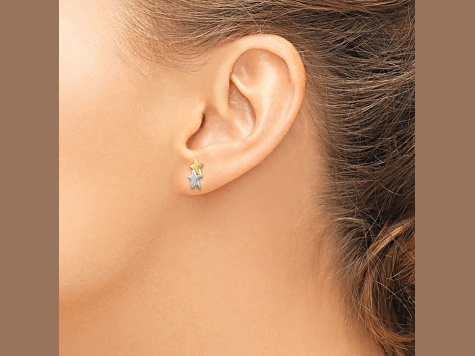 Store 14K Yellow Gold Polished Star Stud Earring